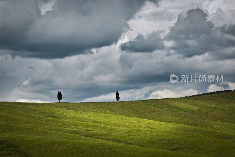 托斯卡纳风景山中暴风雨天空下的柏树