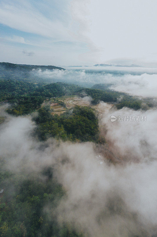 爪哇默拉皮火山附近稻田的鸟瞰图