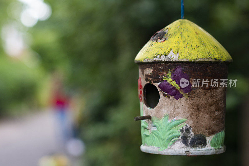 花力鸟笼挂在城市的树上