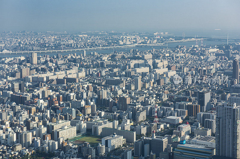 日本东京市鸟瞰图。