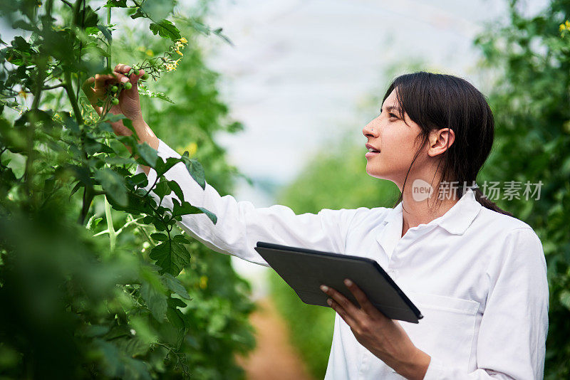 我们决不能低估植物在生命中的重要性