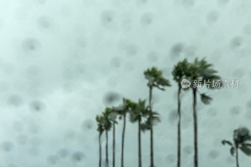 多雨的迈阿密