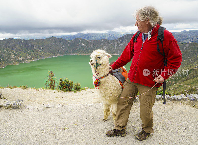 侧视图的高级男子与羊驼与基洛托阿火山在背景