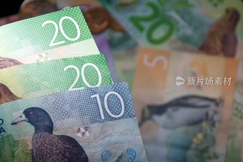 新西兰币(NZD)元