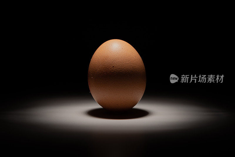 只有Egg