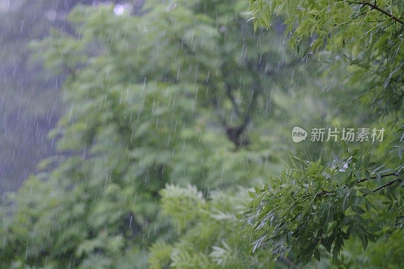 在下雨的一天