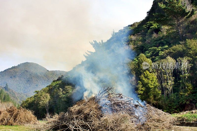 乡村场景中火被控制燃烧