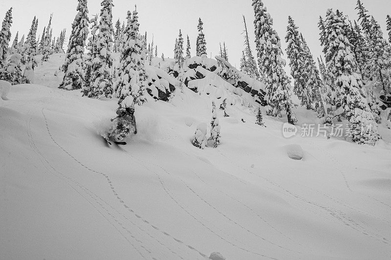 粉滑雪