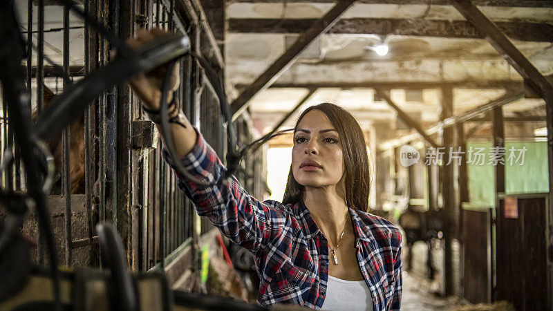 女人准备训练马，站在马厩里准备马鞍-一个年轻女人站在马厩里的马