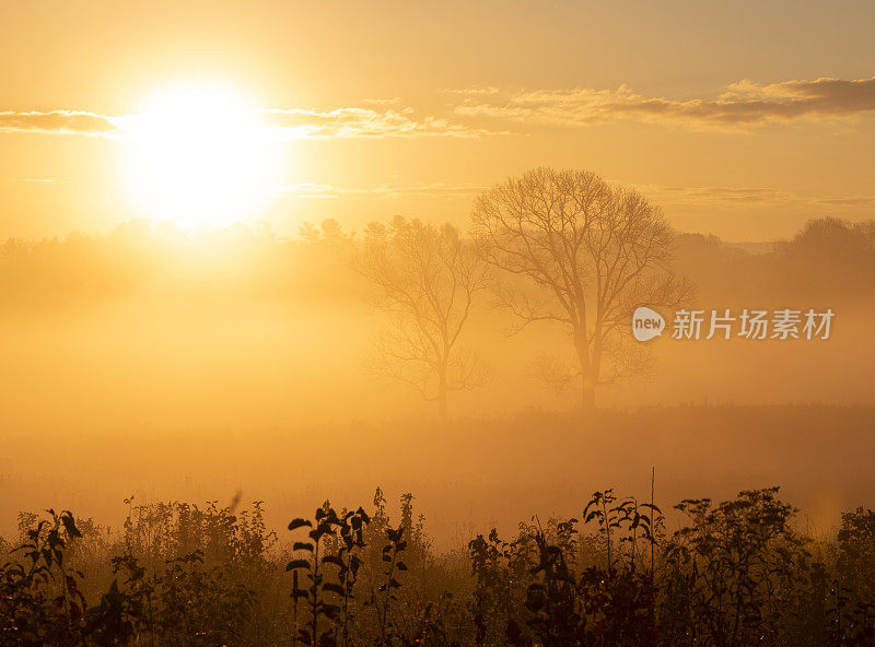 福吉谷国家历史公园的日出，一个雾蒙蒙的早晨