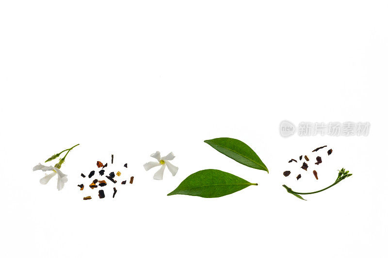 带有茉莉花香味的绿茶，带有新鲜的茶叶和茉莉花的白色背景