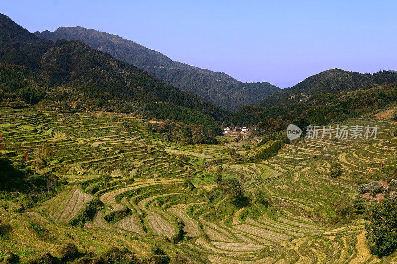 中国婺源县梯田景观