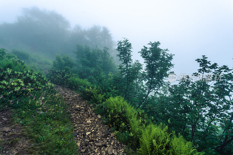 山间小路