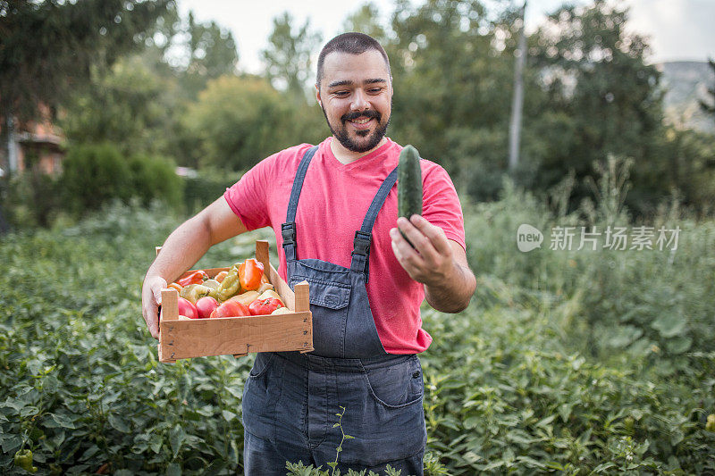 农夫在花园里拿着黄瓜和一篮有机蔬菜