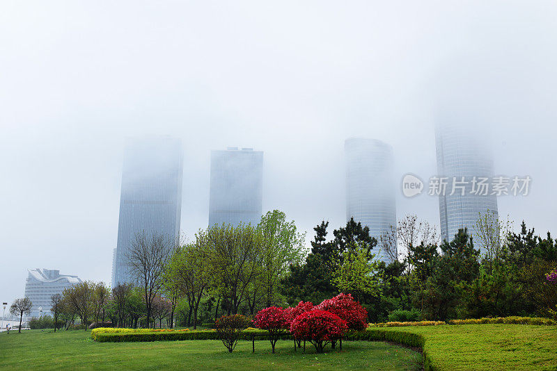 中国山东省日照市，花儿在春雨中绽放