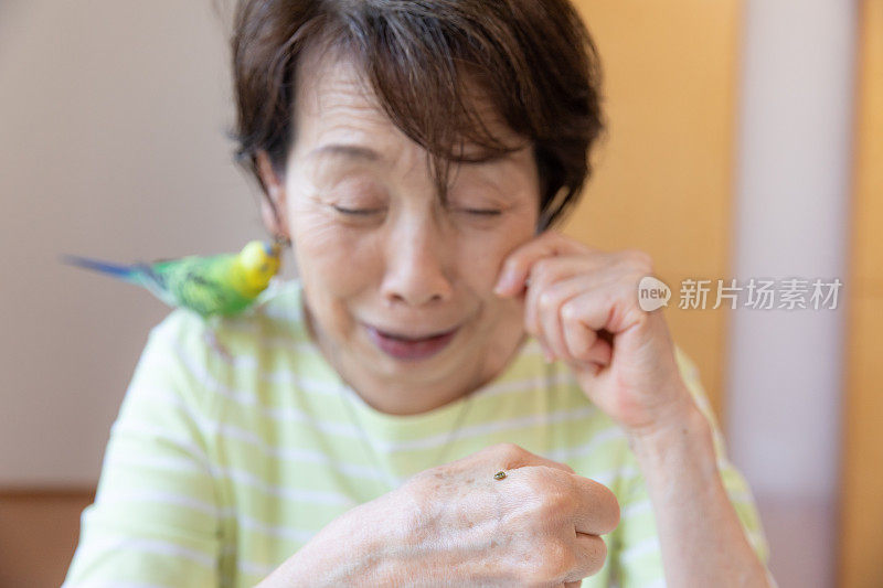 老女人和宠物鸟玩