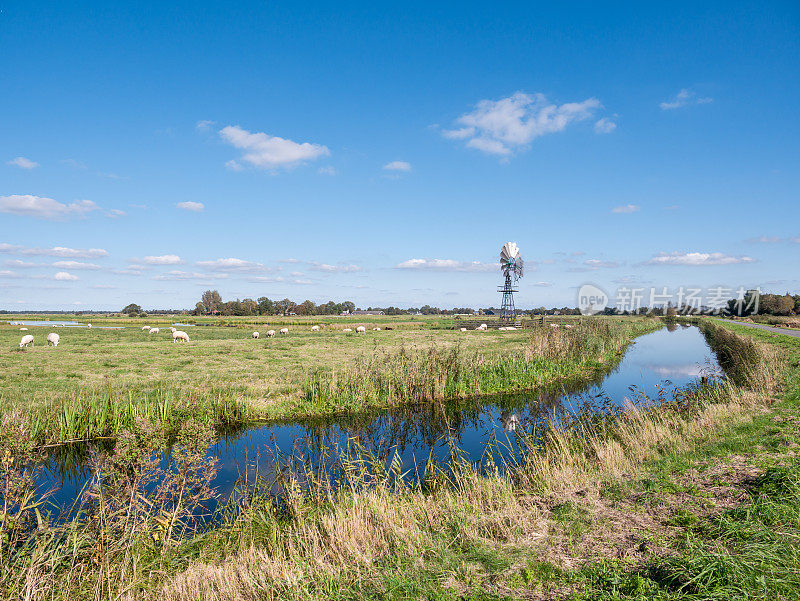 风车排水湿地圩田，水位控制在阿尔德菲南国家公园，荷兰，弗里斯兰