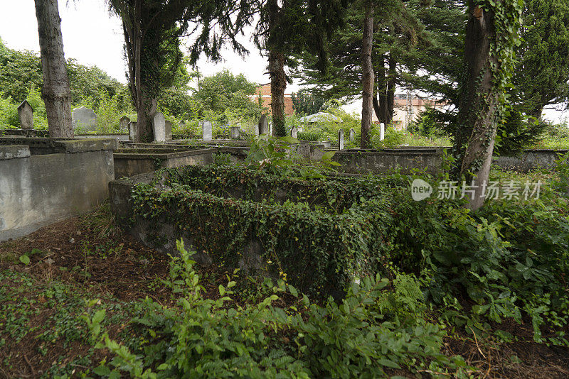 空白的墓碑，背景是其他的坟墓