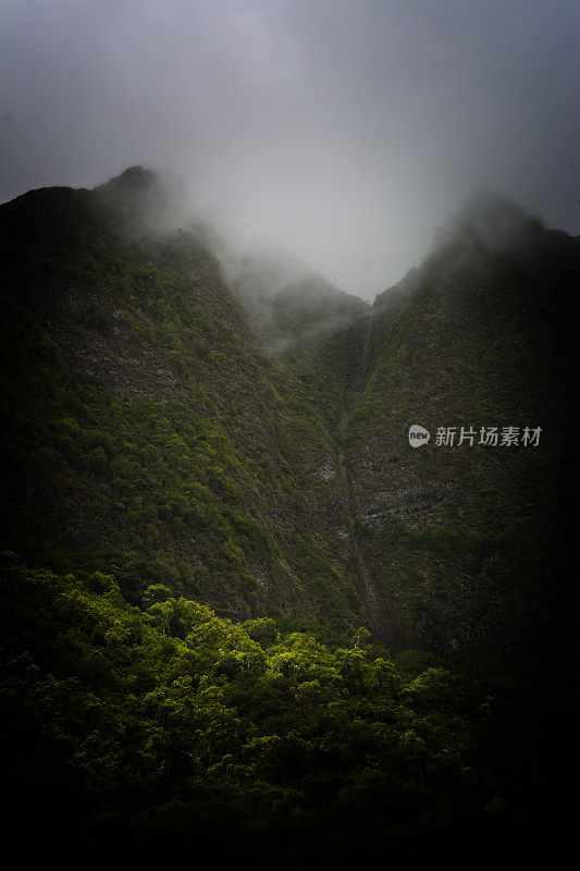 多云热带雨林毛伊岛夏威夷