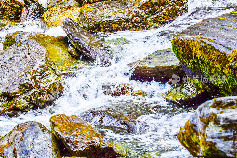 水流过长满苔藓的岩石