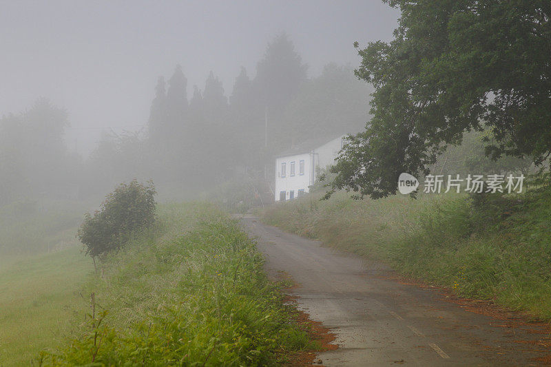 雾中的白宫