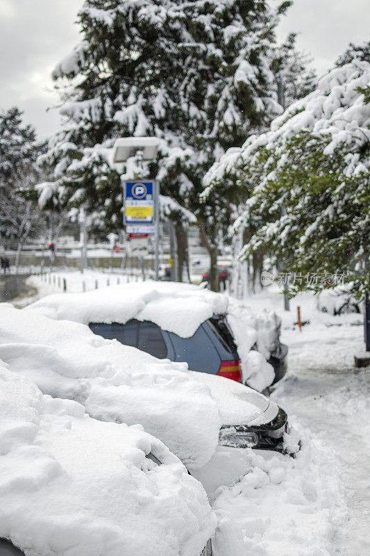 美丽的冬季公园，树木覆盖着雪