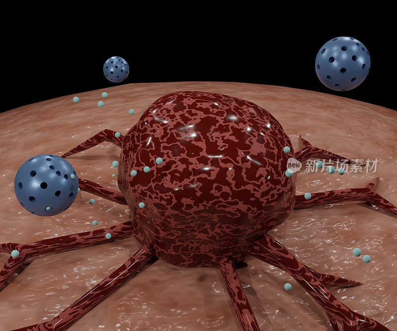 脂质体内的纳米药物包裹靶向癌细胞