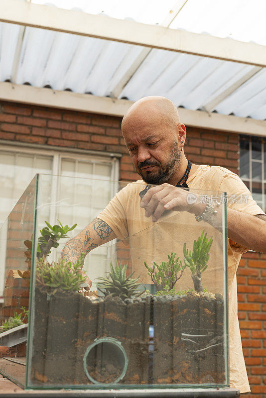 艺术家用多肉植物创作了一幅作品，他把这些植物放在一个鱼缸里，作为仓鼠的家