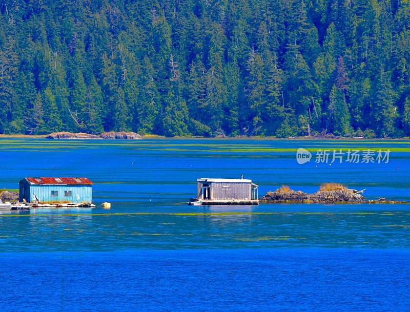 Tofino、加拿大