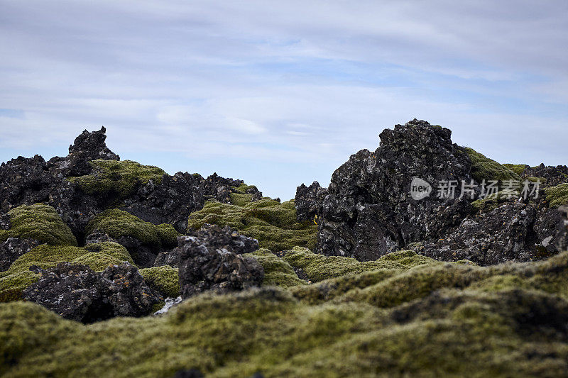 苔藓覆盖着冰岛的岩石和火山景观