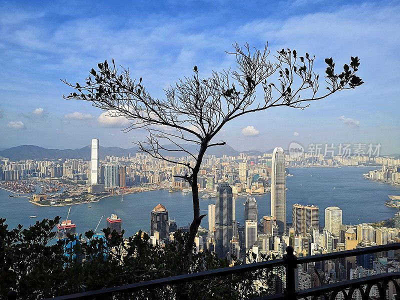 太平山顶的香港市容