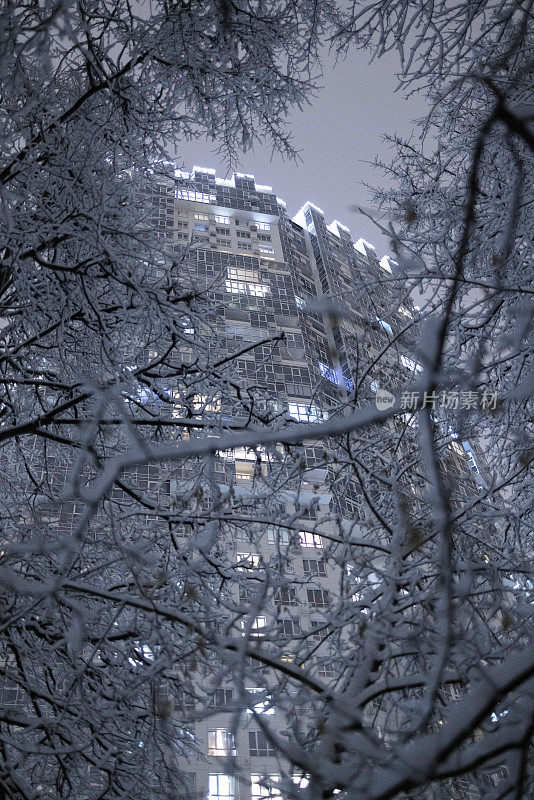 俄罗斯莫斯科地区Khimki的现代住宅公寓，在夜晚透过结冰的树木看到。