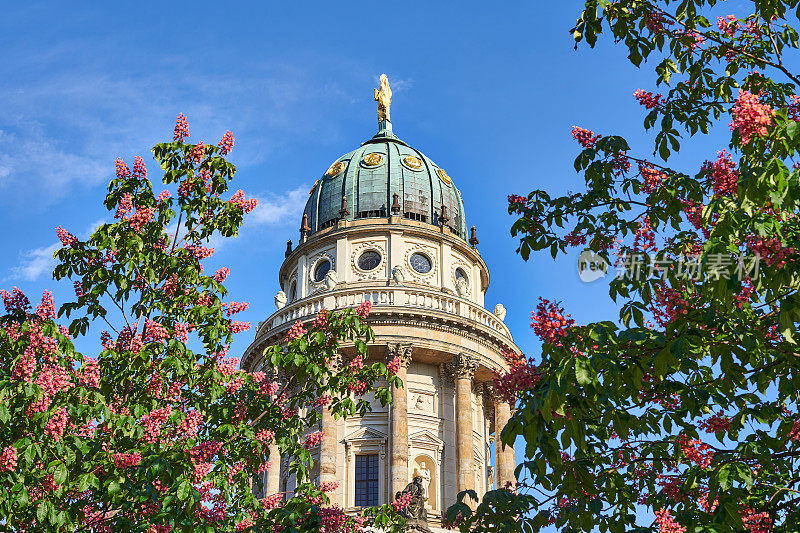 春天的柏林城，俯瞰历史悠久的法国大教堂顶部。栗树开花，天空湛蓝