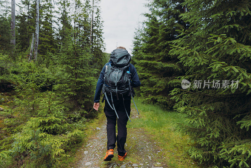 背着背包在挪威森林徒步旅行的男子的后视图