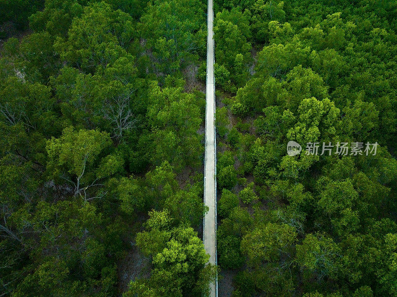 湄公河三角洲沿岸冲积红树林，上庄省