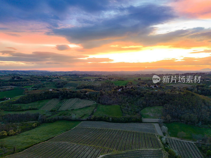 夕阳下的托斯卡纳葡萄园