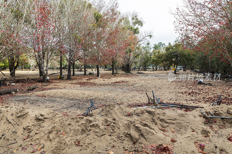 澳大利亚霍克斯伯里河发生严重洪水后，怀斯曼渡轮公园保护区遭到破坏的照片
