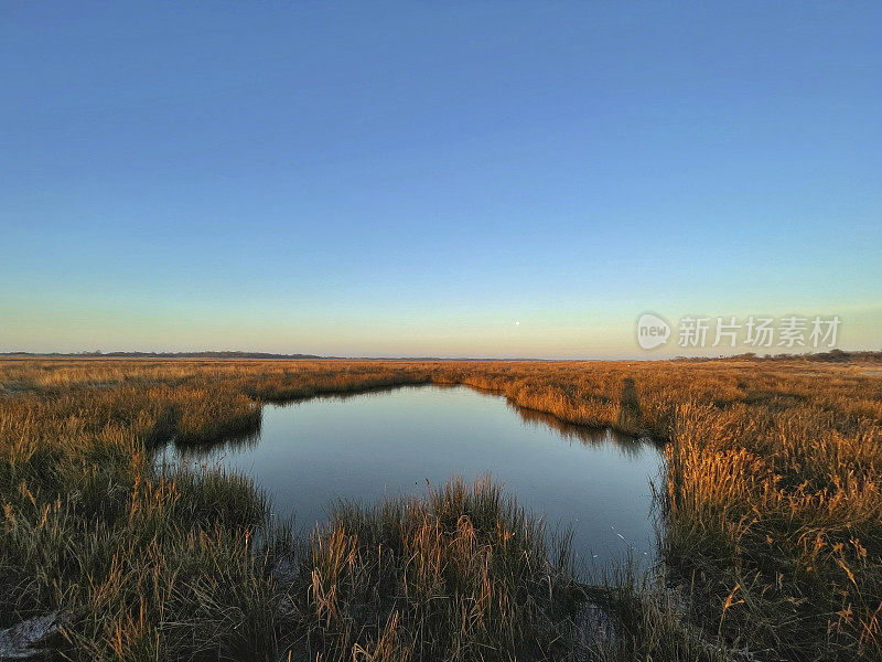 施埃尔蒙尼科格(Schiermonnikoog)初冬清晨的盐沼日出