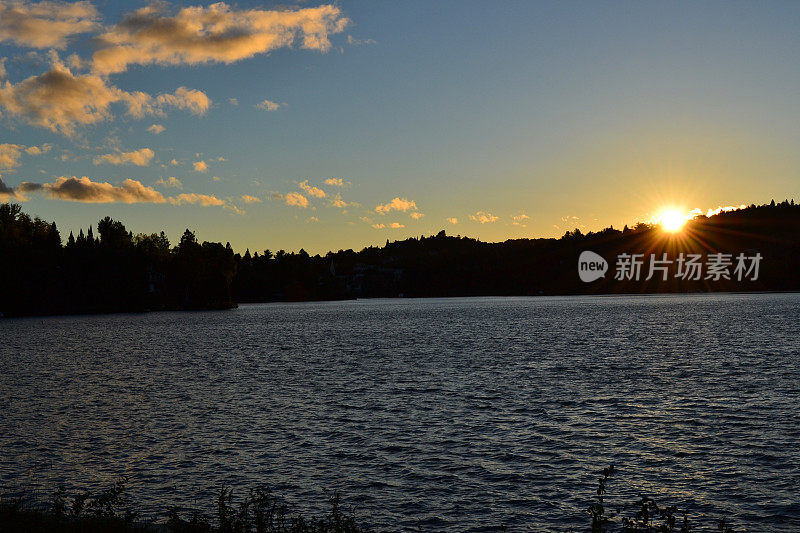 湖边林木线上的落日