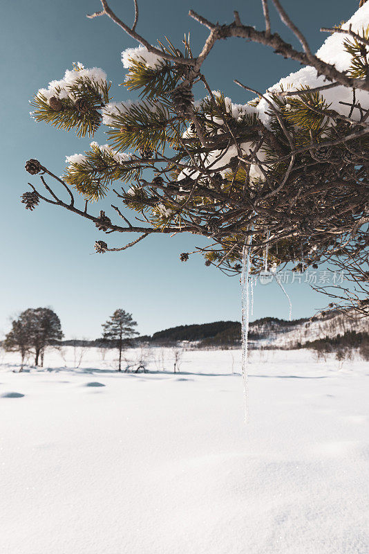 挪威森加岛冬日的雪景