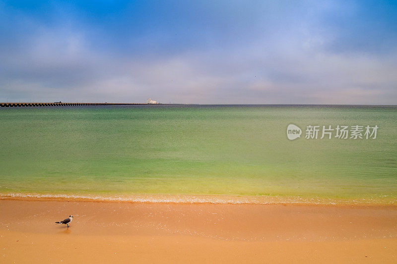 墨西哥海湾尤卡坦海岸的一幅海景