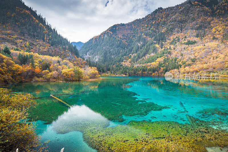 观赏风景优美的木山和湖泊景观，中国九寨沟国家公园