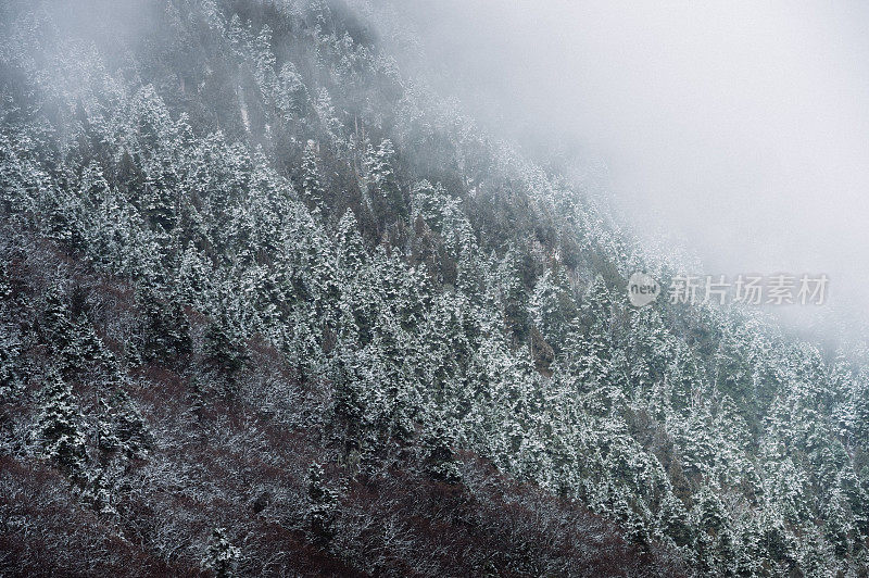 美丽的自然景观黄龙和九寨沟国家公园与惊人的雪在中国四川