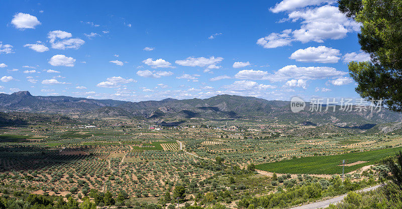 卡莱斯村山谷的洛斯塞拉诺斯地区在西班牙瓦伦西亚