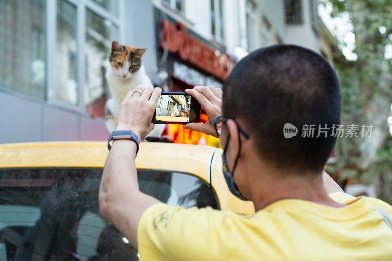 戴着面具的旅行者在给一只猫拍照