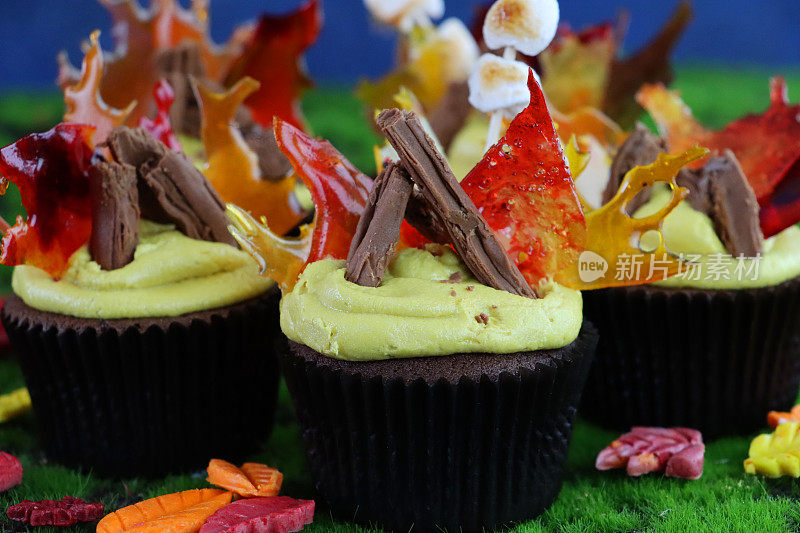 这是一组自制巧克力纸杯蛋糕的特写，上面覆盖着黄色的管状糖霜巧克力薄片，橙色的煮过的甜火焰和棉花糖，黑色的纸蛋糕盒，蓝天和绿草的背景，聚焦于前景