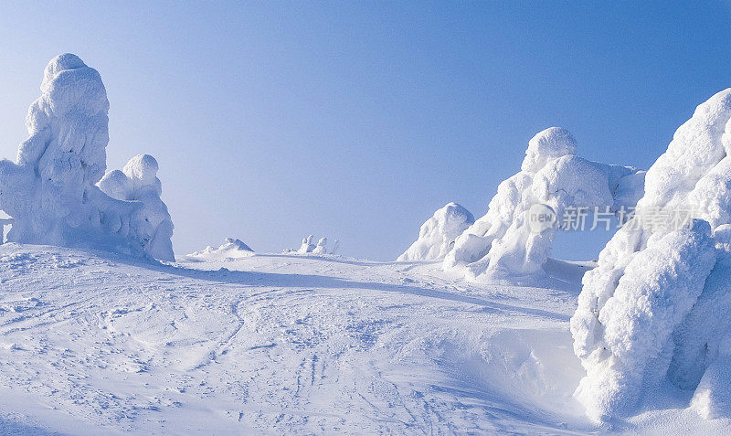 拉普兰自然，霜冻，冬季景观。卢卡山上白雪覆盖的树木。