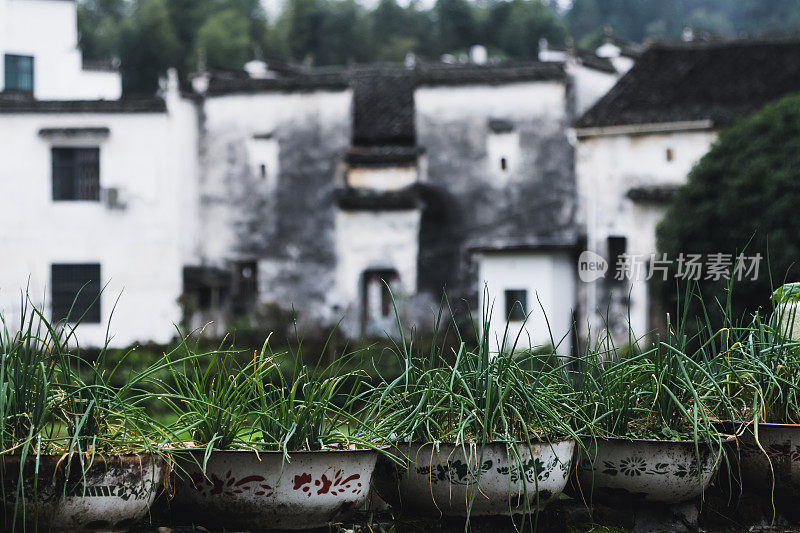 中国古代村落和花卉