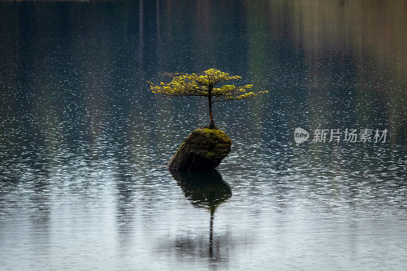 仙女湖上的雨滴