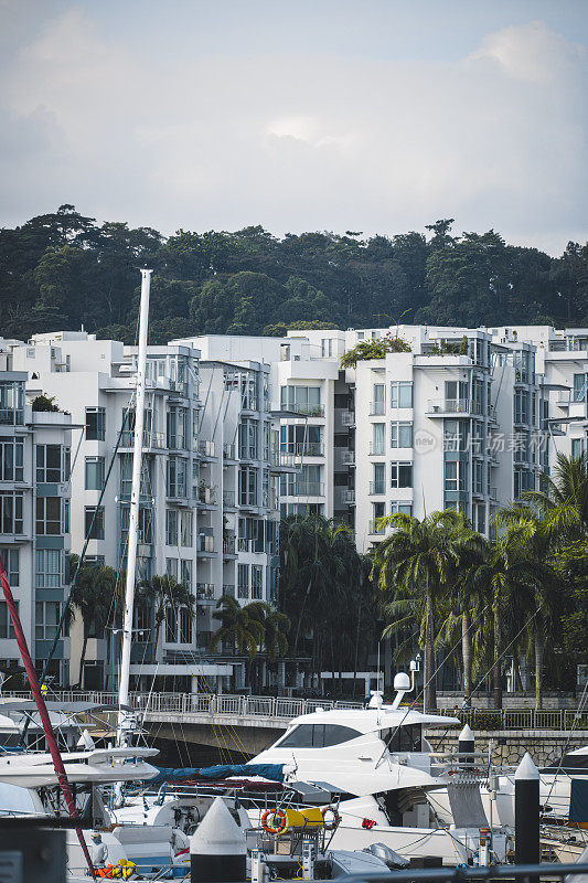 新加坡游艇码头和豪华智能住宅